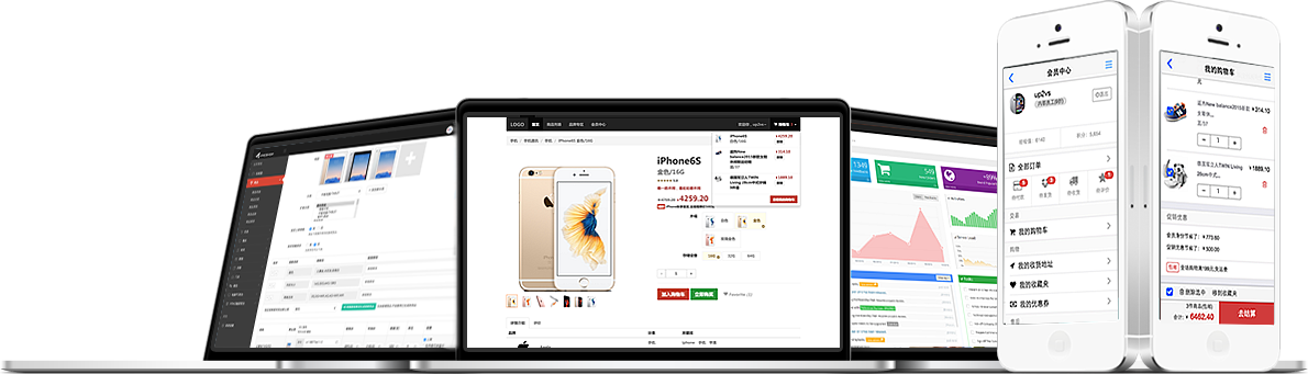 商城網(wǎng)站建設